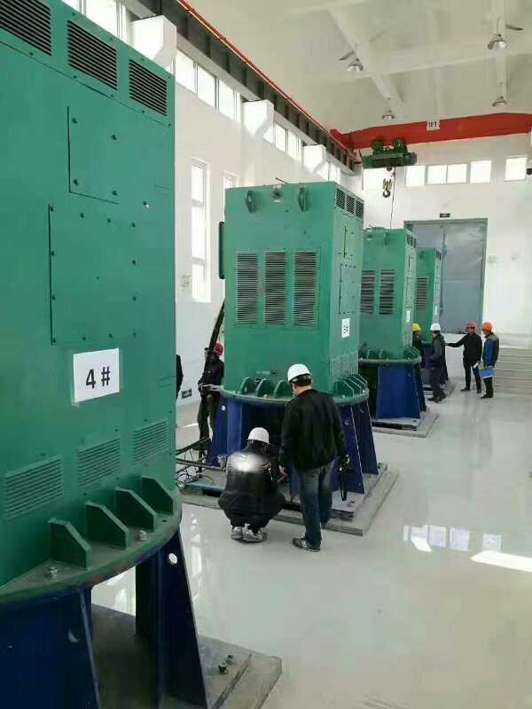 YRKK5002-8某污水处理厂使用我厂的立式高压电机安装现场