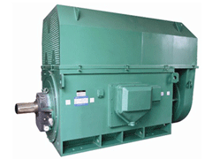 YRKK5002-8Y系列6KV高压电机
